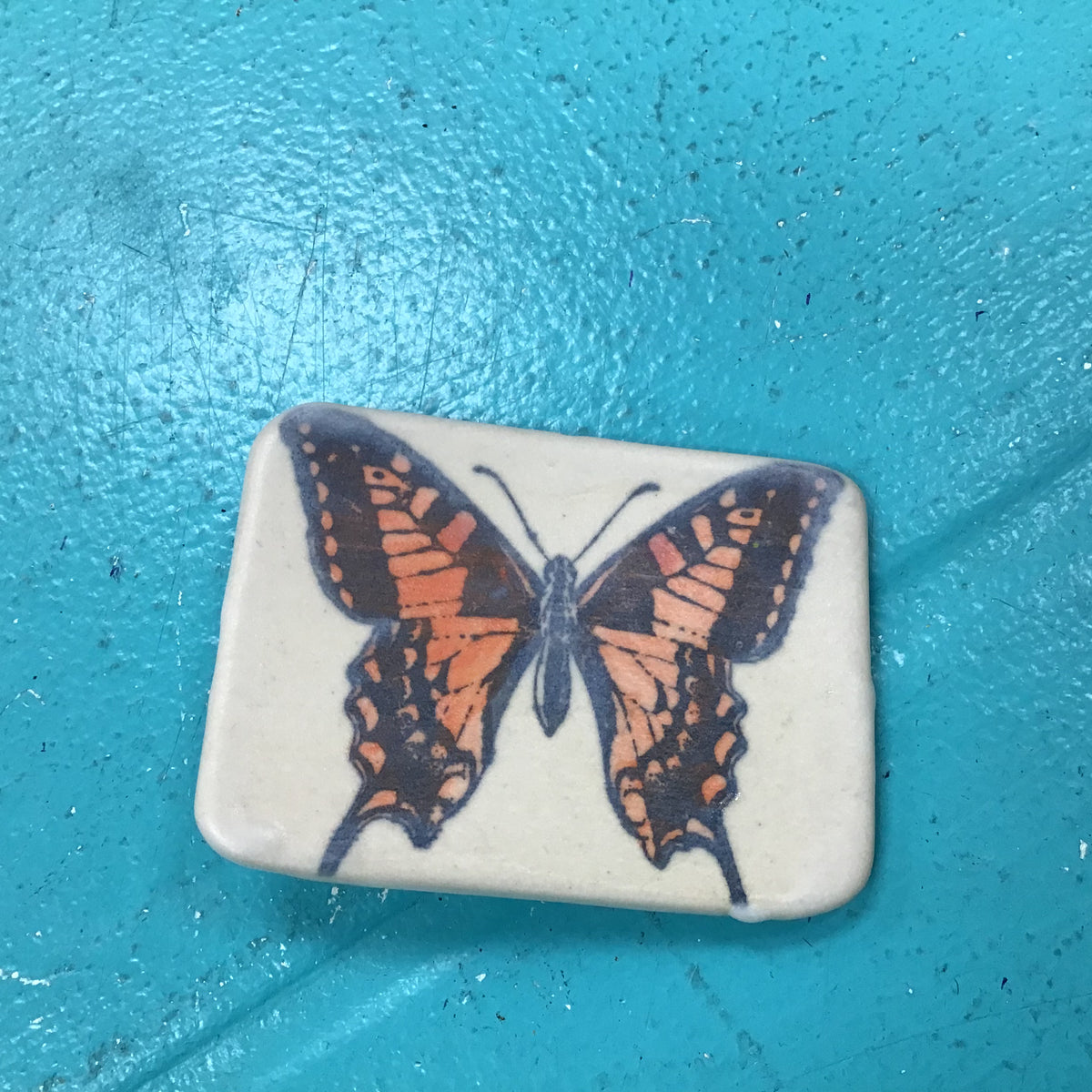 Butterfly Belt Buckle