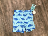 Assorted Boys Swim Shorts