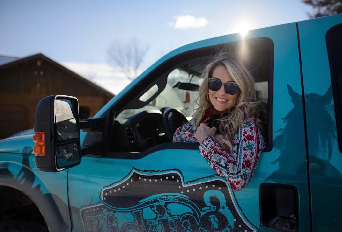 American Bonfire - Adios Tortoise