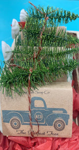 KCD Turquoise Truck with Tree Soap